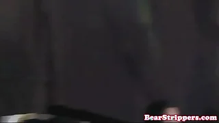 Unpaid babes sucking cock at a strip hammer